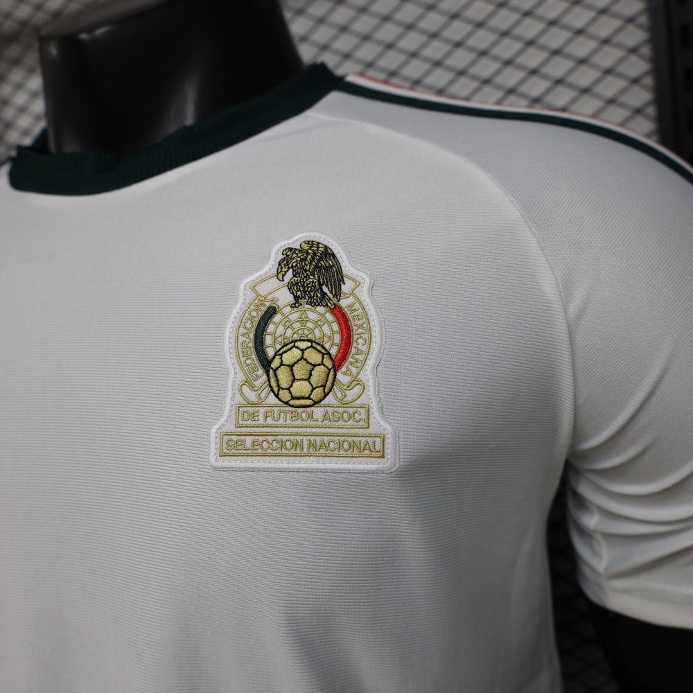Ghana 26/27 Special Edition Player Version Jersey