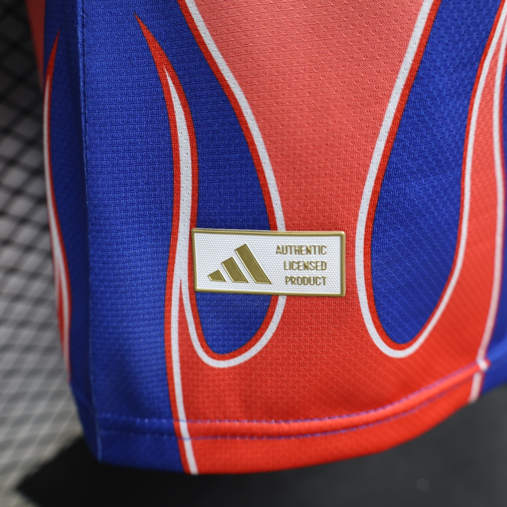 Japan 26/27 Special Edition Player Version Jersey