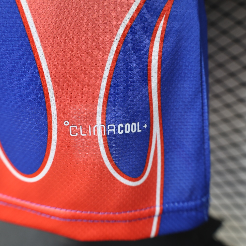 Japan 26/27 Special Edition Player Version Jersey