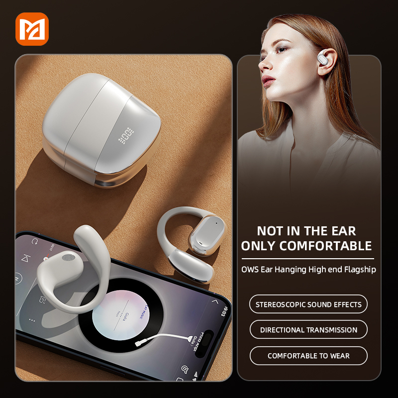 Custom Transparent Translation Earphones with Ear-Hook Design