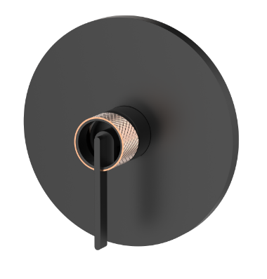 Shower Valve