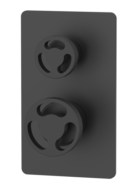 Shower Valve