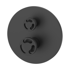 Shower Valve
