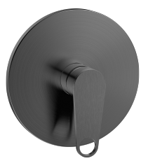 Shower Valve