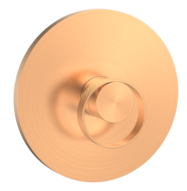 Shower Valve