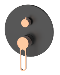 Shower Valve