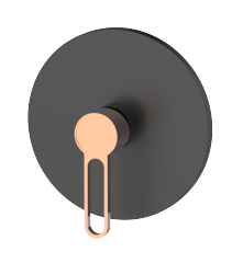 Shower Valve