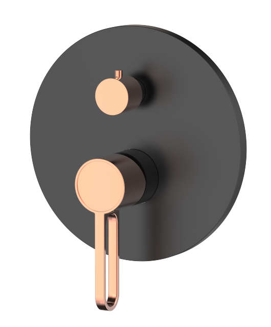 Shower Valve