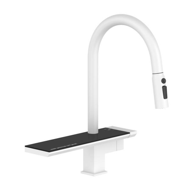 PullOut Sink Kitchen Mixer