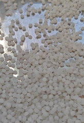 OL‑Y75 Low‑Temperature Eco‑Friendly Plastic Granulator | PVC PP PE Recycling Pelletizer