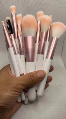 12 nude brushes pink