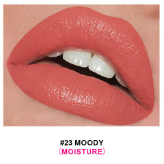 23#nourishing lipstick