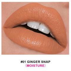 01#nourishing lipstick