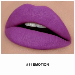 #11EMOTION
