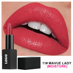 11#nourishing lipstick