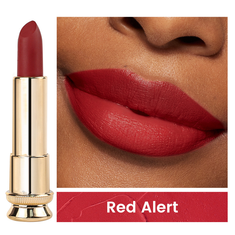 跨境现货丝绒不粘杯黑金管哑光中性口红无logo新款Matte Lipstick