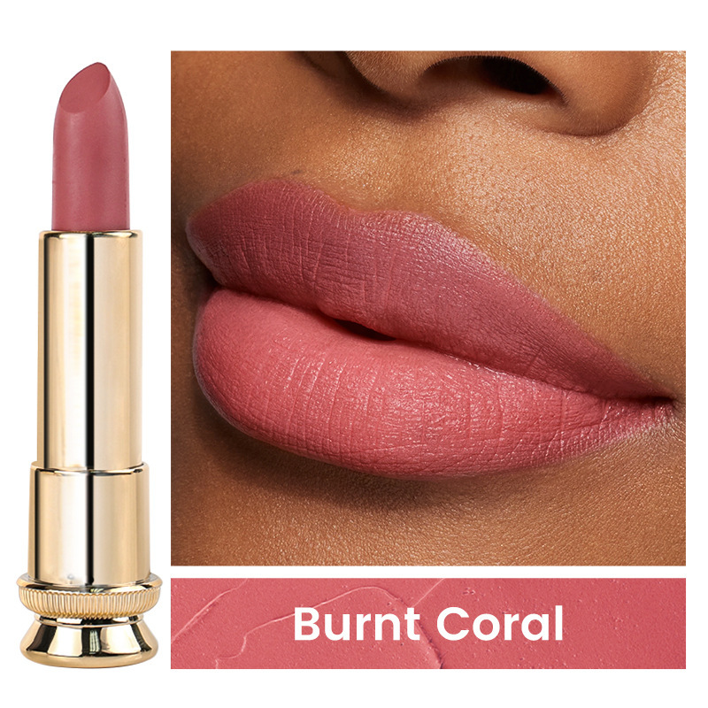 跨境现货丝绒不粘杯黑金管哑光中性口红无logo新款Matte Lipstick
