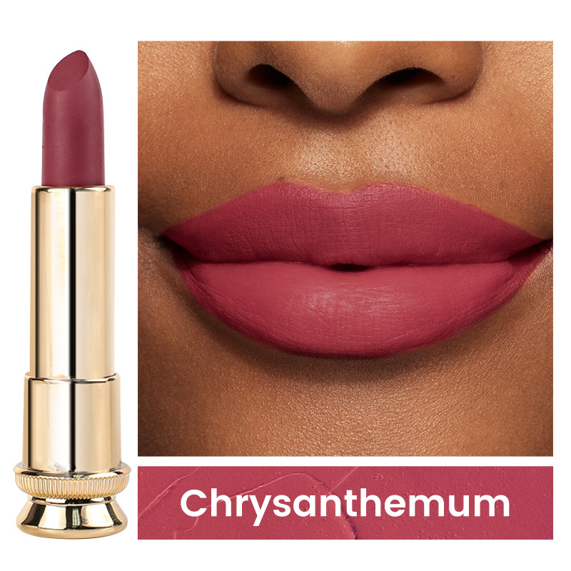 跨境现货丝绒不粘杯黑金管哑光中性口红无logo新款Matte Lipstick