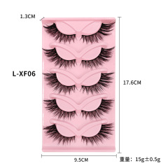 L-XF06