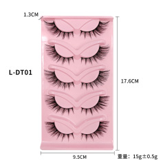 L-DT01