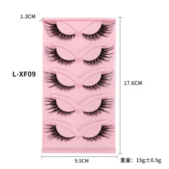 L-XF09