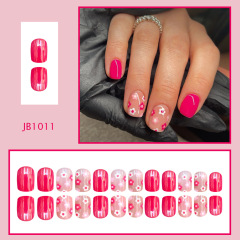 JB1011
