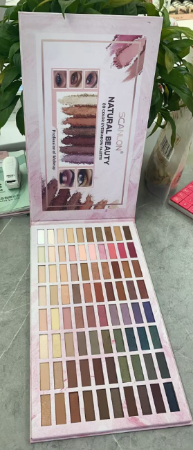 80 color multicoloured eyeshadow blusher