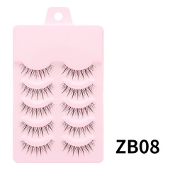 ZB08-5
