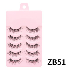 ZB51-