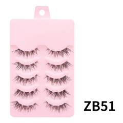 ZB51-5