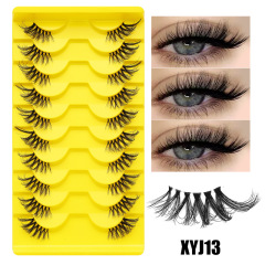 XYJ13