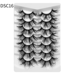 DSC16