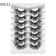 DSC12