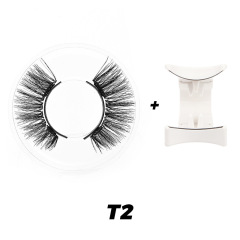 T2
