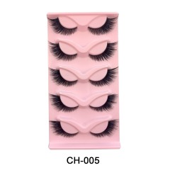 CH-005