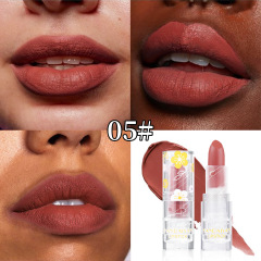Mist matte lipstick#05