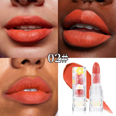 Mist matte lipstick#02