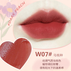 W1004-07#