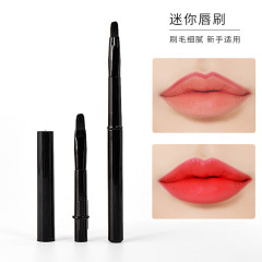 4-Piece Lip Brush Set