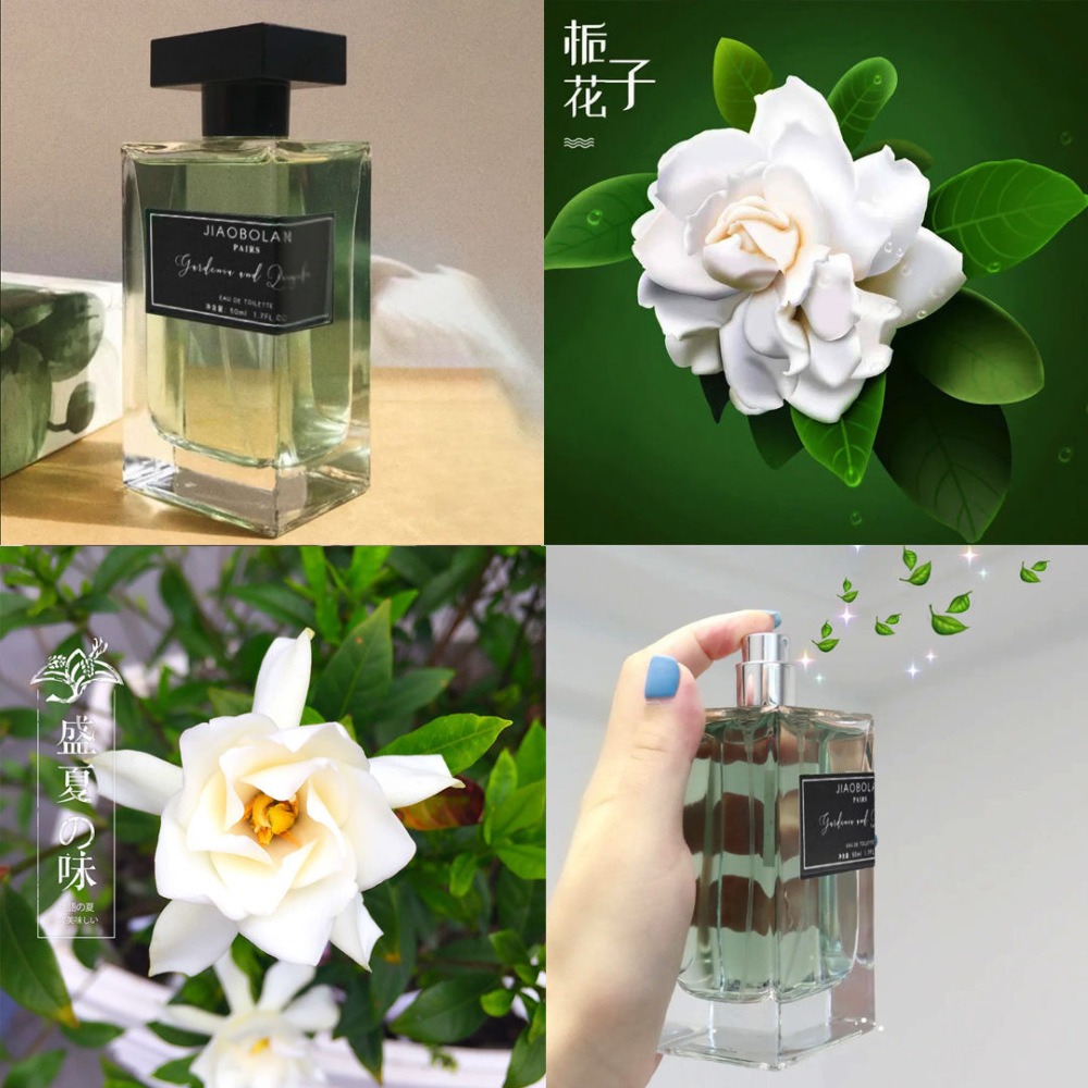 栀子与清茶女士香水清新淡雅自然栀子花香茶香跨境越南东南亚50ml