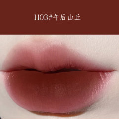 H03#