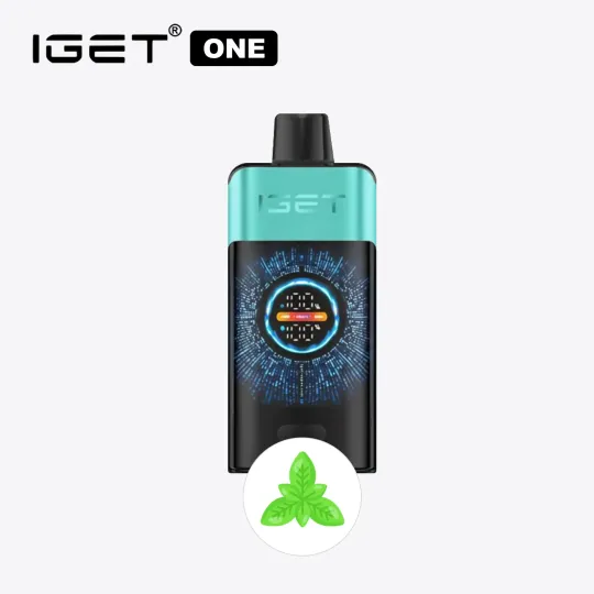 FAST AUS SHIPPING | IGET ONE 12000
