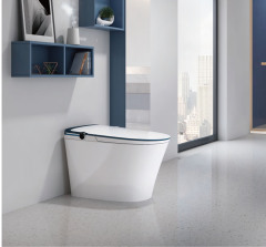 Pulsed Massage Intelligent Toilet