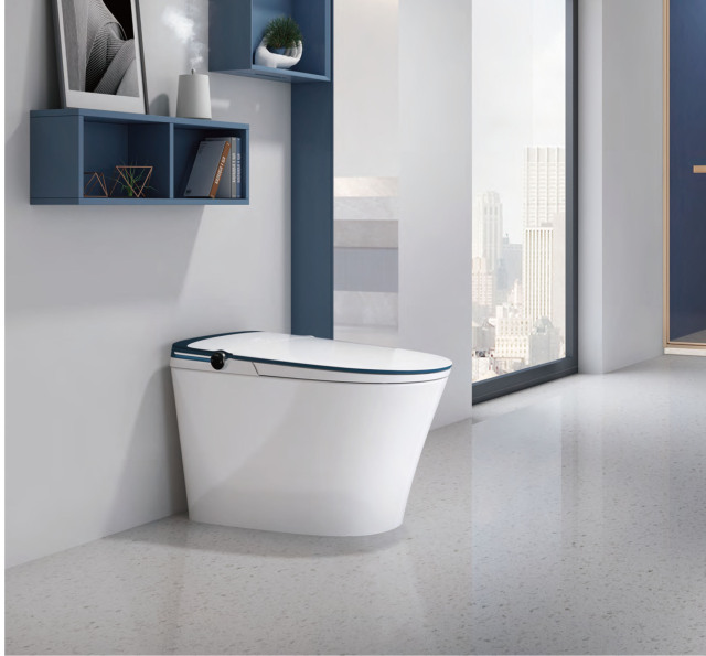 Pulsed Massage Intelligent Toilet