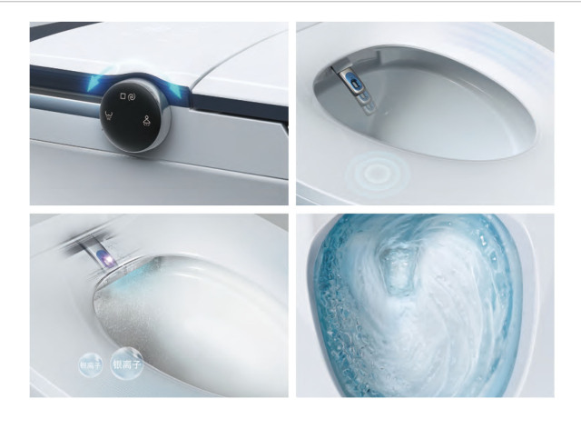 Pulsed Massage Intelligent Toilet