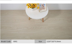 Light-Colored Wood-Look SPC Flooring