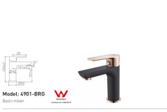 Black and Gold Basin Faucet