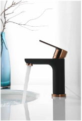 Black and Gold Basin Faucet