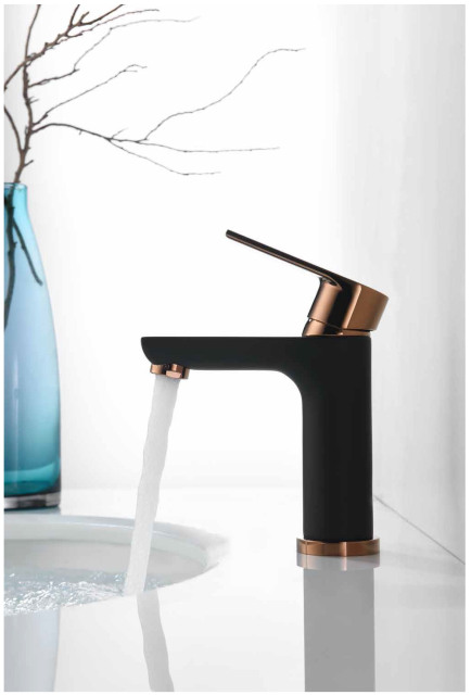Black and Gold Basin Faucet