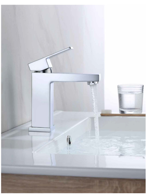 Stainless Steel Basin Faucet